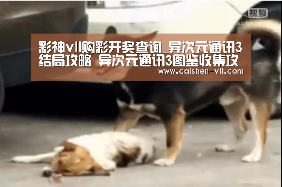 彩神vll购彩开奖查询_异次元通讯3结局攻略 异次元通讯3图鉴收集攻略(图2) 彩神vll购彩官网