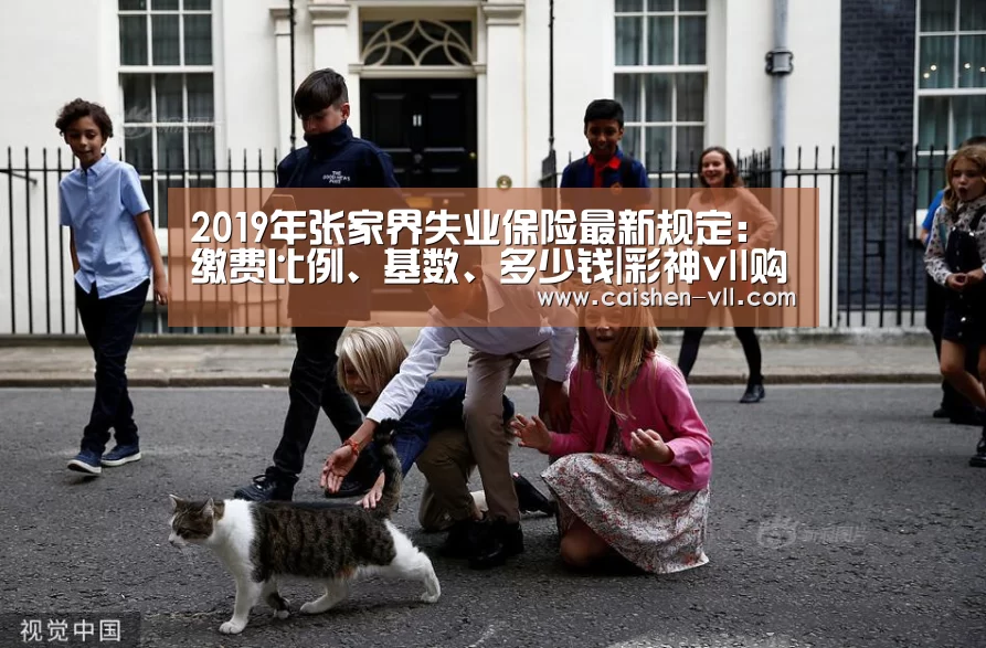 2019年张家界失业保险最新规定:缴费比例、基数、多少钱|彩神vll购彩开奖查询(图1) 彩神vll购彩开奖查询