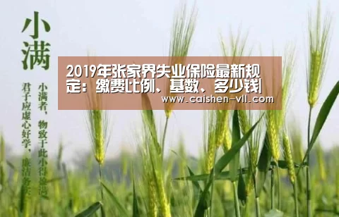 2019年张家界失业保险最新规定:缴费比例、基数、多少钱|彩神vll购彩开奖查询(图2) 彩神vll购彩