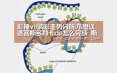 彩神vll购彩官网