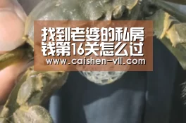 彩神vll购彩开奖查询
