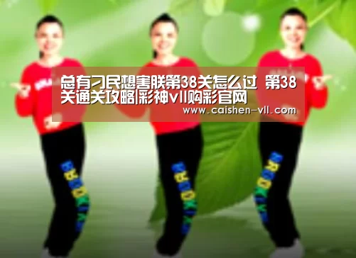 彩神vll购彩开奖查询