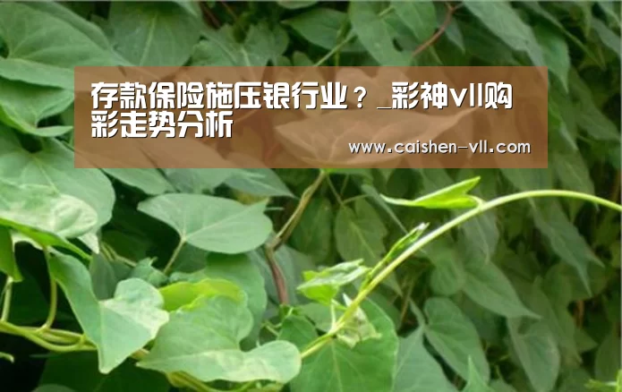 彩神vll购彩走势分析